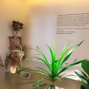 Miの画像