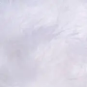 ざんの画像
