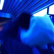 もっちゃむ(プロフ必読の画像