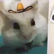 だいふくの画像