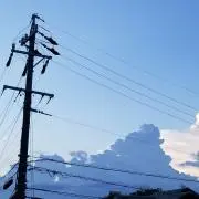 育の画像