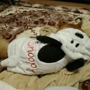 みきの画像