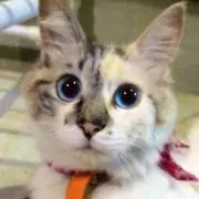 ryudaの画像