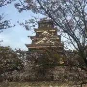 みるの画像