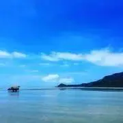 TY ＊多数商品を出品中です！の画像