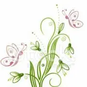 Snowdropの画像