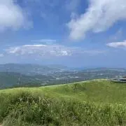 ちーずの画像