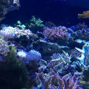 あーちゃんの画像