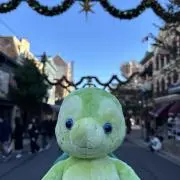すじこちゃんの画像