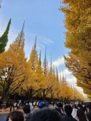 あつの画像
