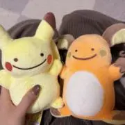 ゆんちゃきの画像