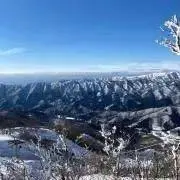 なかじま