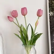 みみの画像