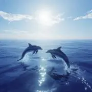 はなびの画像