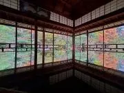 たかの画像