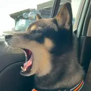 りゅうび