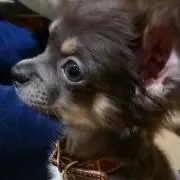 miti☺︎