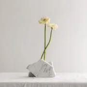 anih.の画像