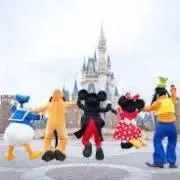 ちぷで♡の画像
