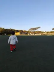 S252715の画像