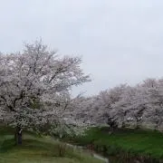Morocoの画像