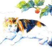 ふくみみの画像