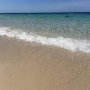 むの画像