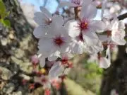 うさぽん❀終始無言OK❀の画像
