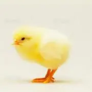 うなぎパイの画像