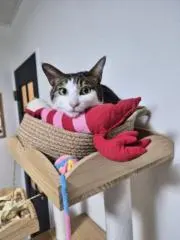 busyの画像