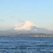 エツの画像