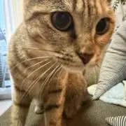 ゆりなの画像
