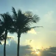 MMGの画像