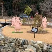 ぱんだぁ〜断捨離中〜の画像