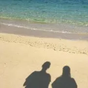 ぴぴ