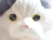 Image of ビル