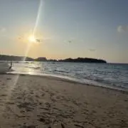 うっちーの画像