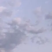 うつゆの画像