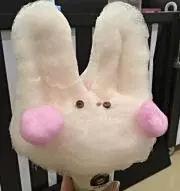 ハナミズキの画像