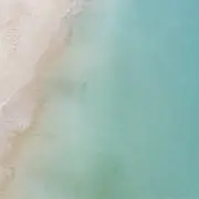 Y.の画像