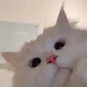 ぽた