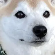 けま☺︎  フリマアプリ他登録あり！！