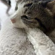 みかっちの画像