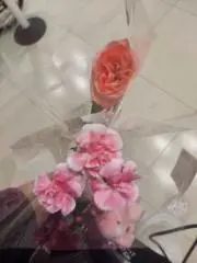 愛瀬の画像