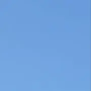 Tの画像