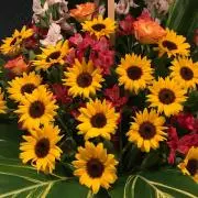 ちろ★お休み中