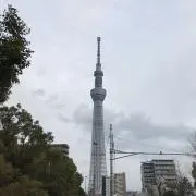 くろの画像