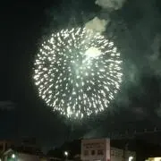 yd tree キノシタ