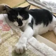 黒姫