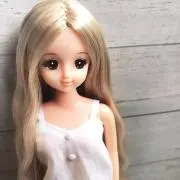 プリンの画像